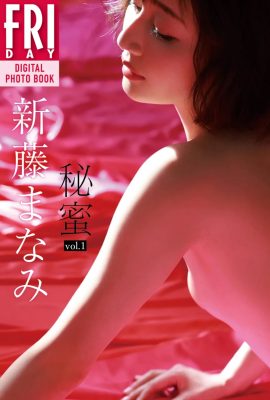 Manami Shindo Himitsu vol.1 Complete Edition (59P)