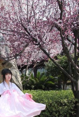 Xia Ning Ning-Hanfu Sakura Powder