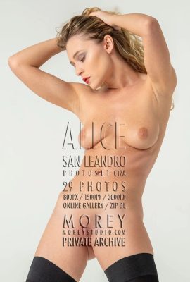 (Morey Studio)Sep 17, 2024 – Alice – C12A(29P)